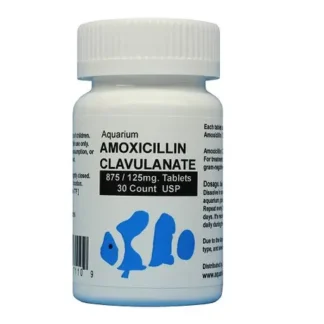 Fish Amoxicillin Clavulanate 875mg/125mg- 30 tablets
