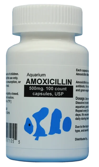 Fish moxy 500mg - 100 Count