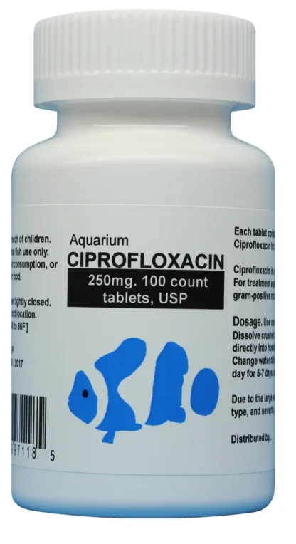 Fish cipro 500 mg Fish Ciprofloxacin 60 Capsules