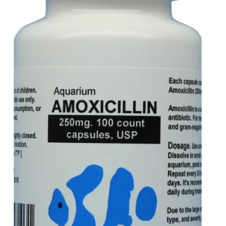 Aquarium amoxicillin 250 mg 100 capsules