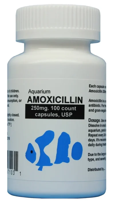 Aquarium amoxicillin 250 mg 100 capsules