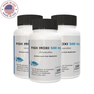 Aqua mox 500mg amoxicillin - 100 Count - 3 Pack